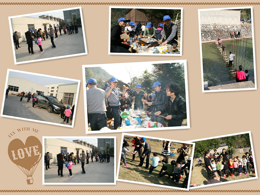 Activitate echipei Cholift in decembrie -BBQ